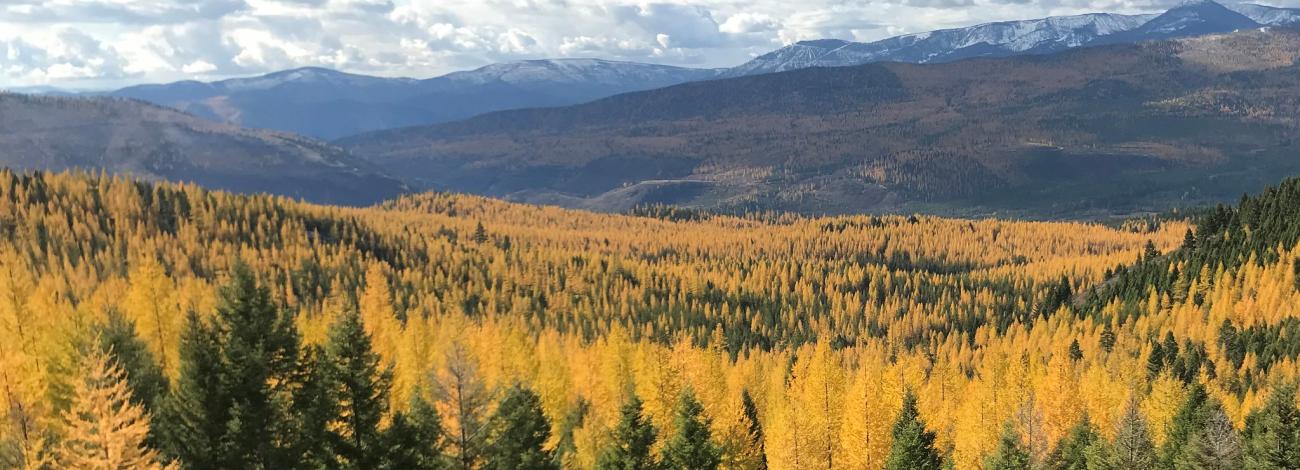 Blackfoot-Clark Fork Restoration Landscape
