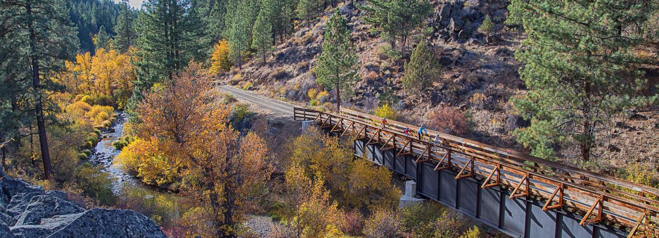 A rail-trail along a river in a forest filled with autumn colors