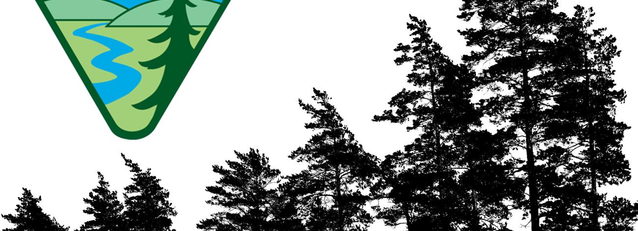 BLM logo with trees