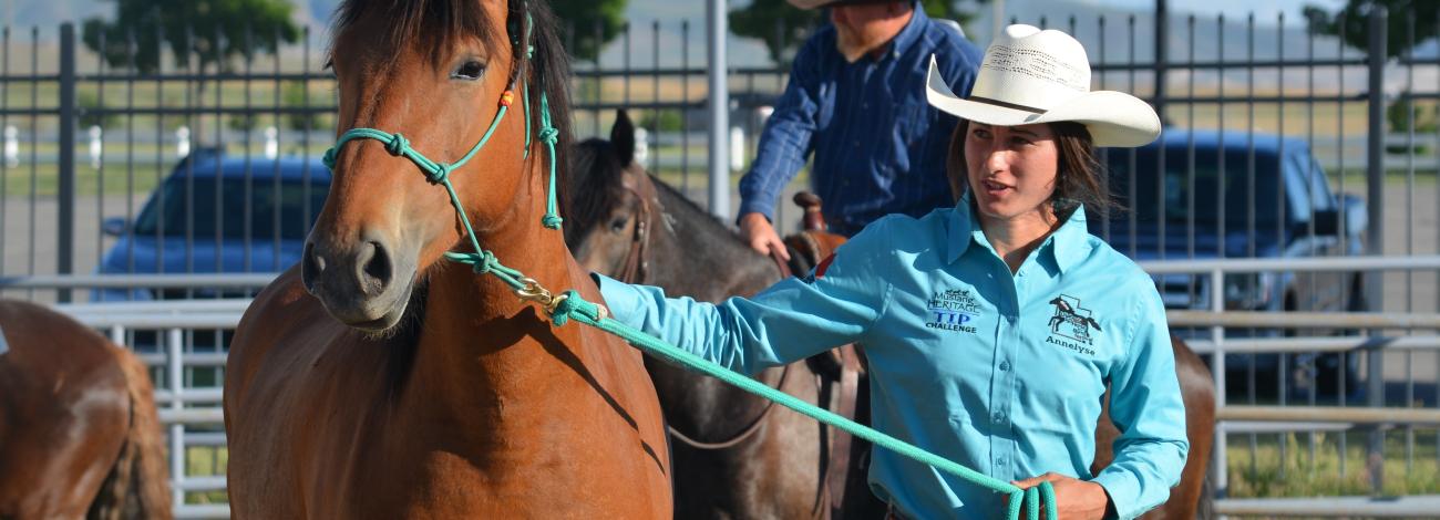 Girl leads horse with halter