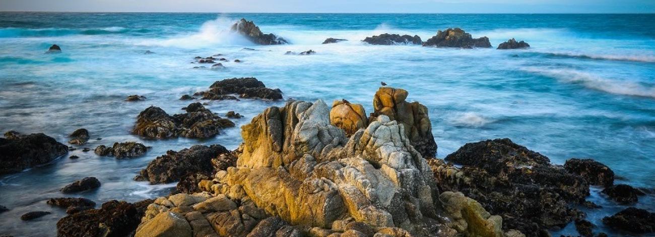 Water sprays over rocks on the ocean shore