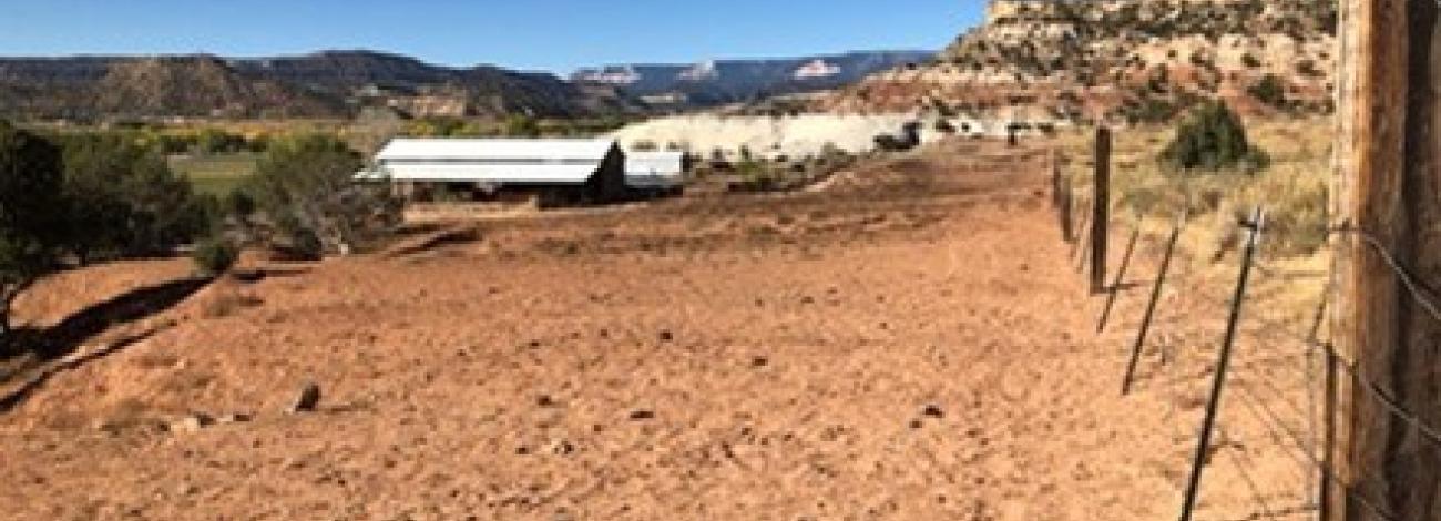 View of the proposed Dumas direct land sale parcel. Credit BLM Utah.