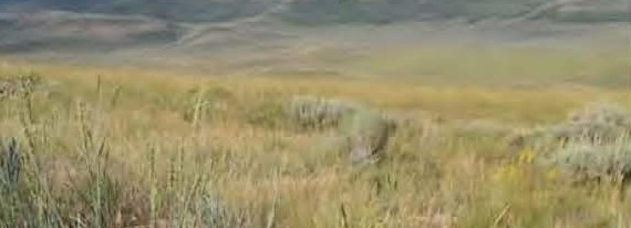 Caldwell Canyon Revised Mine project area is southeastern Idaho.