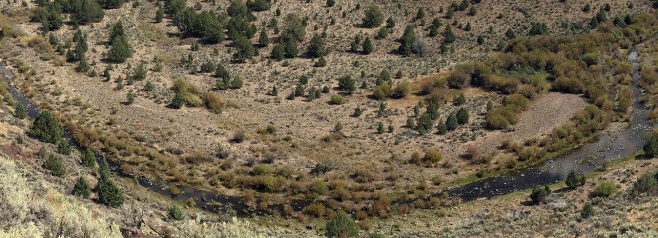 Owyhee Mountains