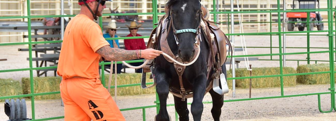 An inmate leads a horse during an adoption event at the Florence, Arizona, facility.
