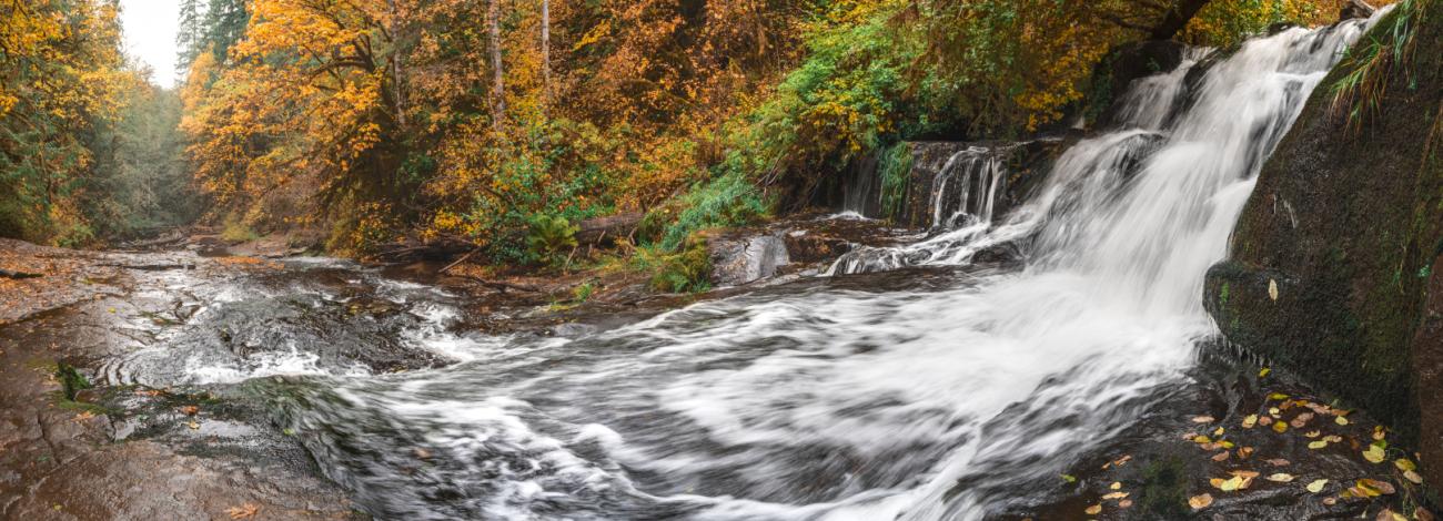 waterfall in wooded area surrounded by trees changing with autumn colors, photo by Jesse Pluim