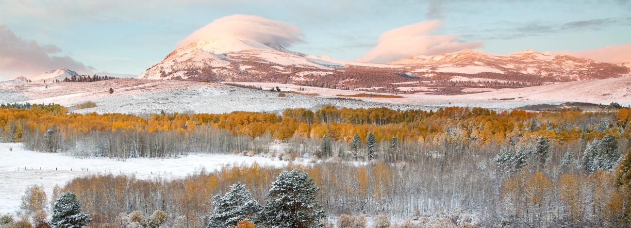 A snowy mountain in the background with clouds above it. Trees change colors in the fore ground.