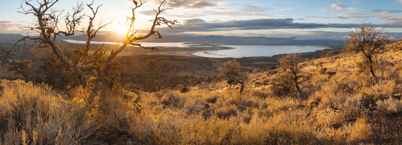 The sun sets over a blue lake with yellow, dormant trees in the foreground.