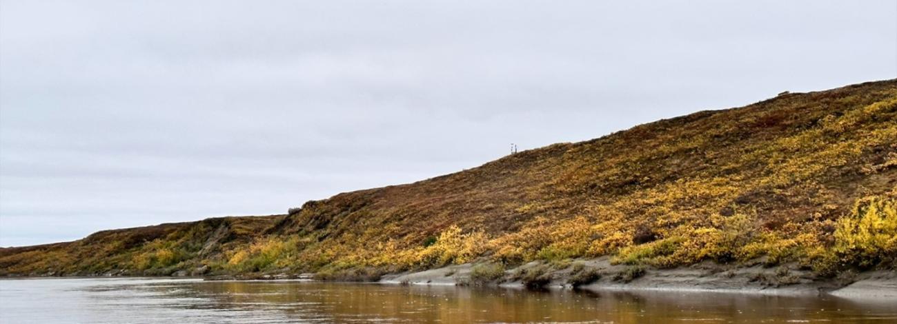 BLM managed Ikpikpuk River gage. Photo courtesy of Brower Frantz , Utqiagvik resident and active user of the Ikpikpuk River gage data. Photo taken during fall 2023 hunting trip.