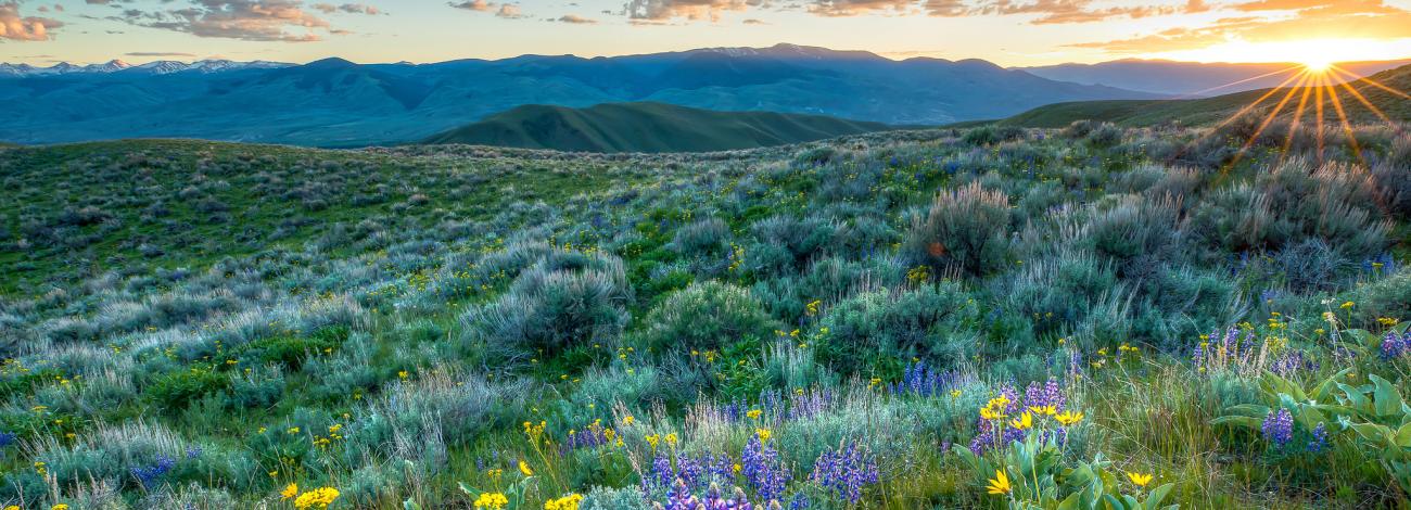 The Lemhi Pass in Idaho, where Lewis and Clark crossed over the Continental Divide in 1805.