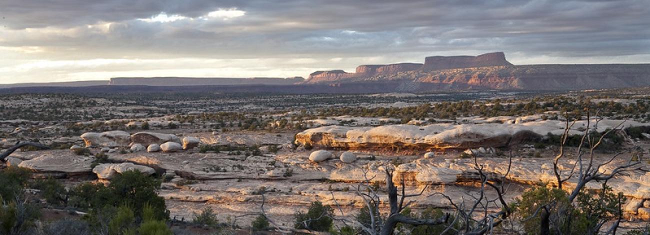 Landscape view of Grand Gulch.