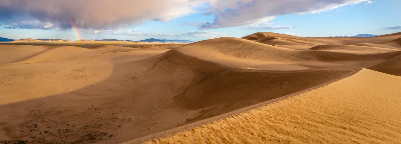 Wet sand dunes stretch toward a storm and rainbow