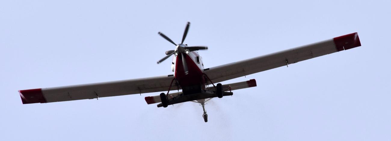 An Air Tractor 802 disperses seed.