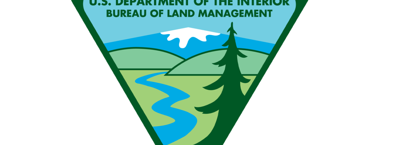 BLM triangle logo