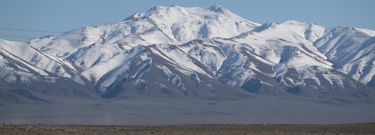 Mount Lewis is seen, covered by snow, on a desert foliage covered horizon. 