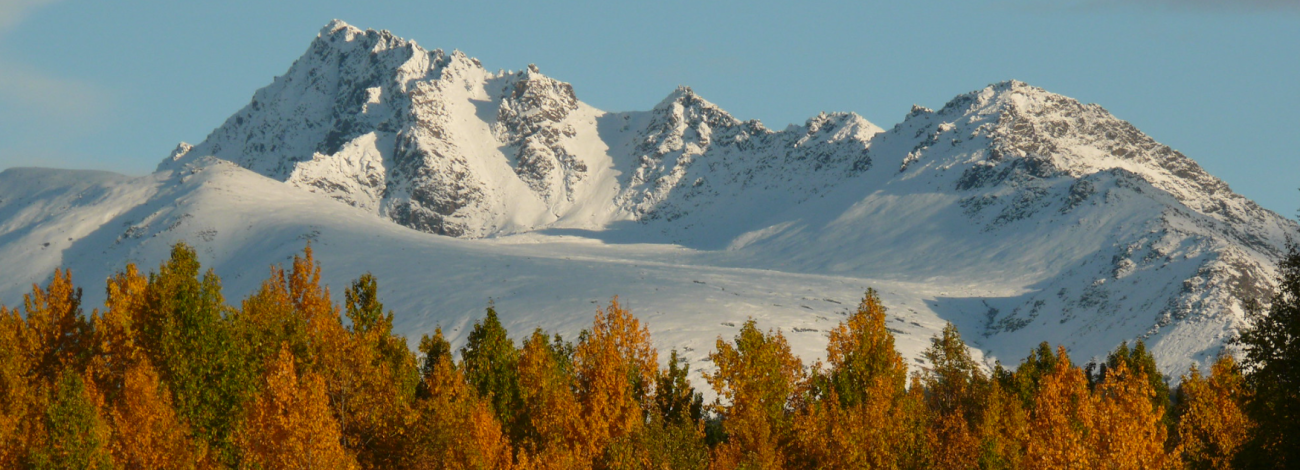 Autumn near the proposed Alaska Long Trail