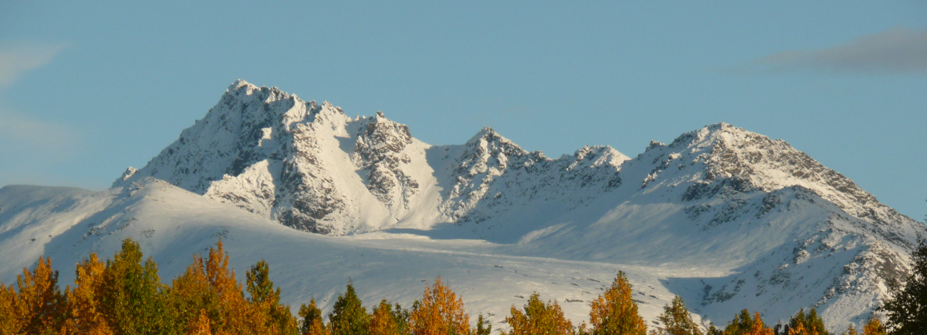 Autumn trees in the Anchorage Bowl. 