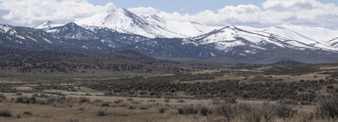 Clouds cover snowcapped mountains above desert foliage. 