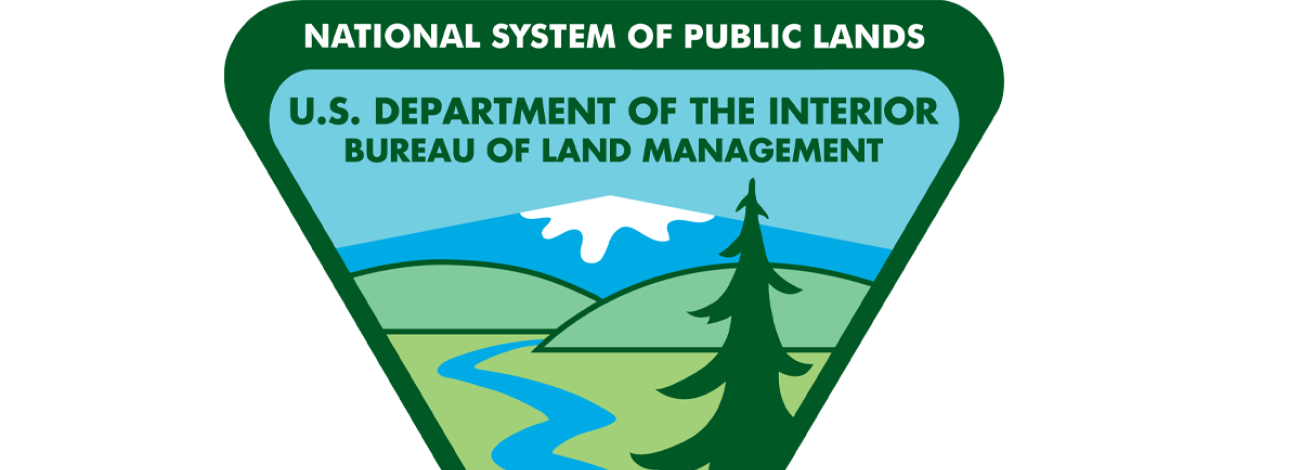 BLM Logo