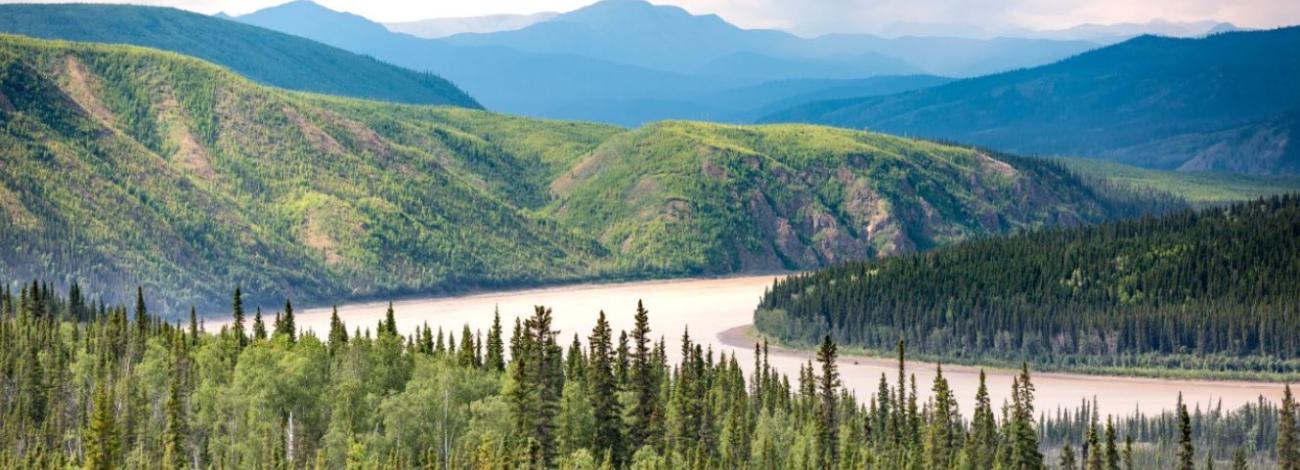A bend in the Yukon River is surrounded by forested hills with mountains in the distance. 