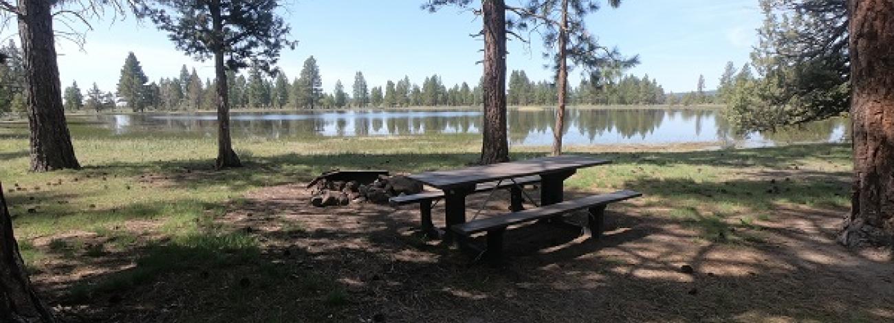 view of campground with fir trees, water, picnic table, and fire pit