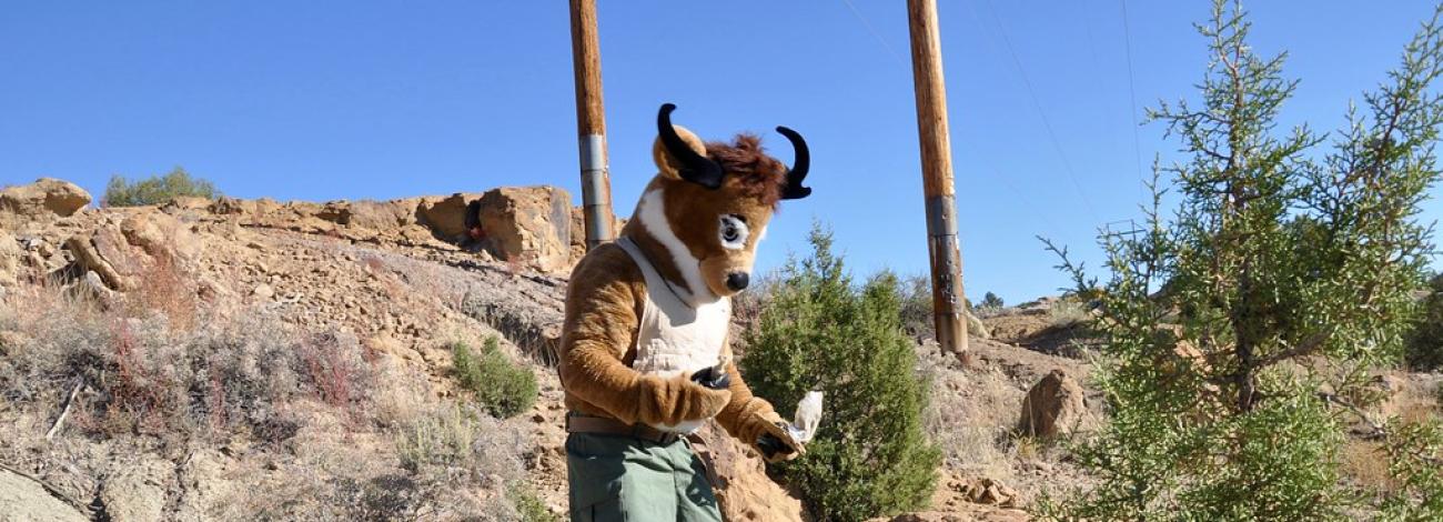 New Mexico Bureau of Land Management - Seymour Hike Nm 