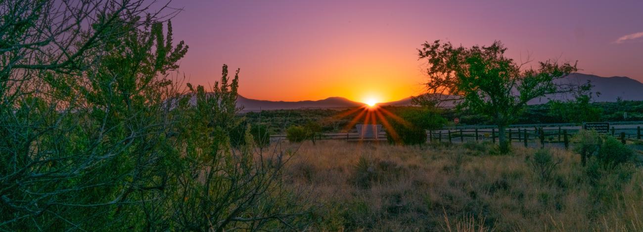 A photo of landscape, taken in the early morning, with a shrub in the foreground on the left and mountains in the background and the sun peaking over the mountains.
