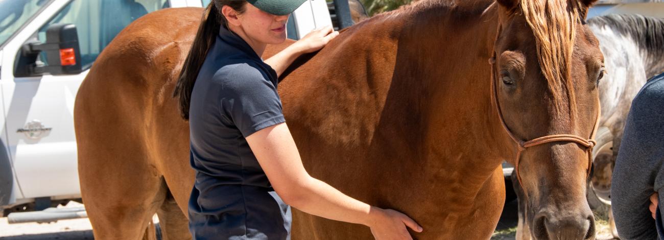 Meghan Marner pets her new horse Banjo.
