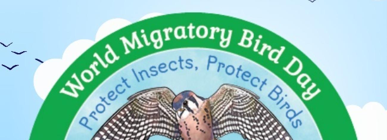 Illustration of Agent Kestrel below the World Migratory Bird Day logo and to the left of the BLM logo. 