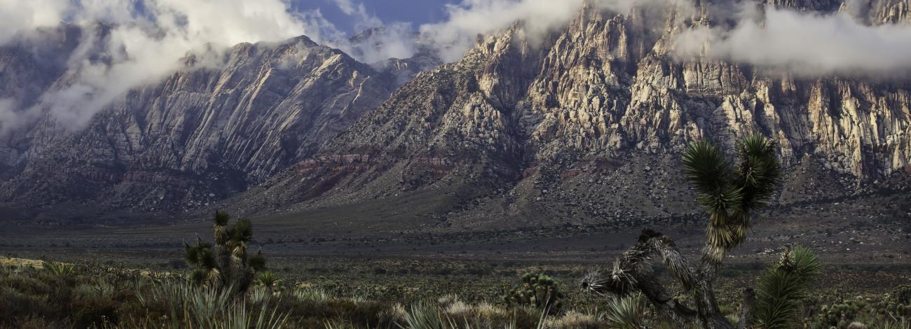 Landscape of Red Rock Canyon