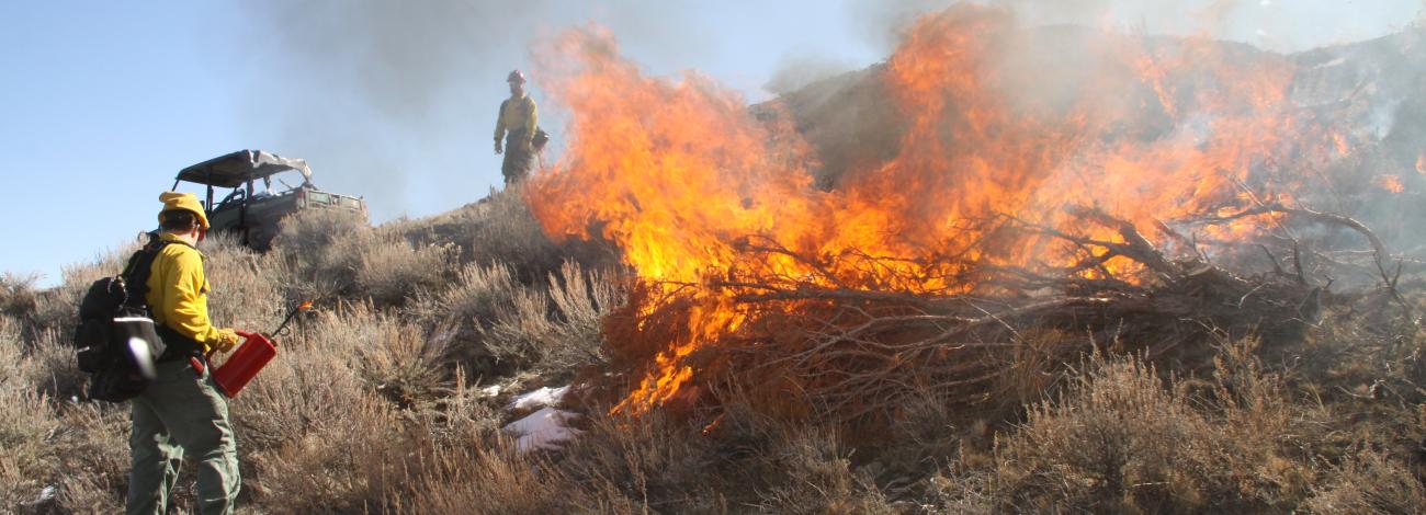 a firefighter watches a juniper pile burn