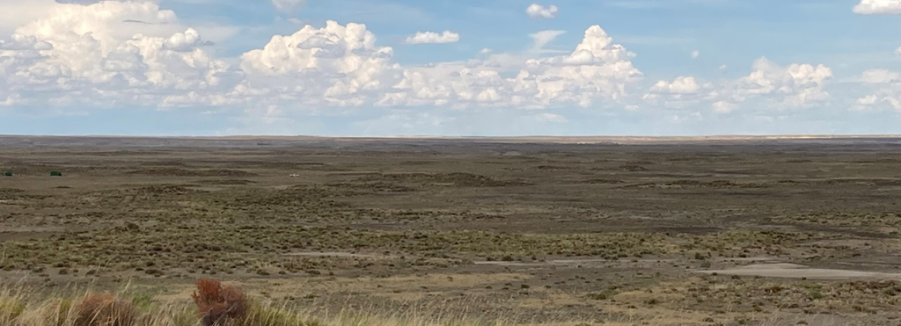 Landscape view of prairie with blue sky overhead.