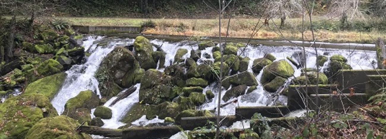 water flowing near Hult Dam in Oregon