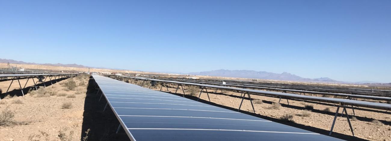 Solar Panels under a blue sky.