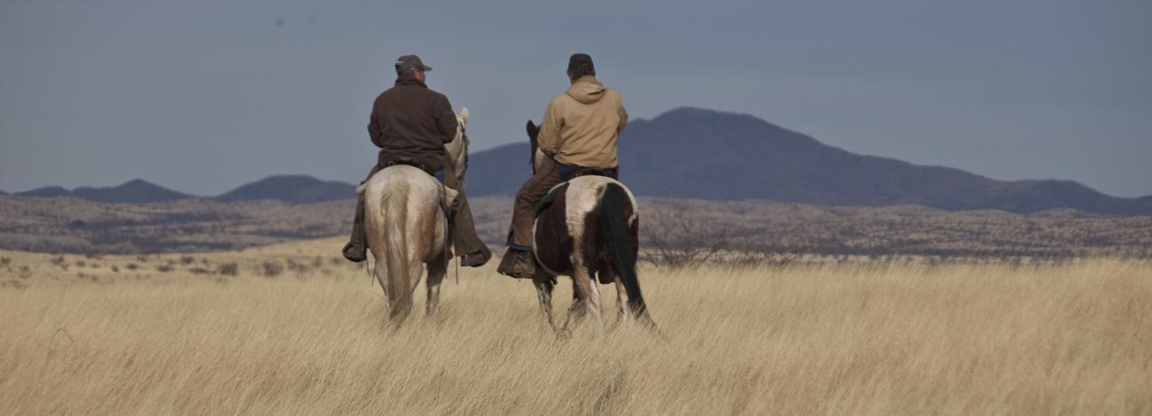 two people on horseback in grasslands facing mountains in the distance