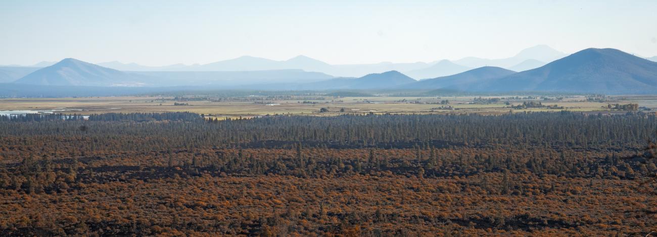 Timbered Crater Wilderness. A vast flat forest with a meadow and blue mountains in the background.