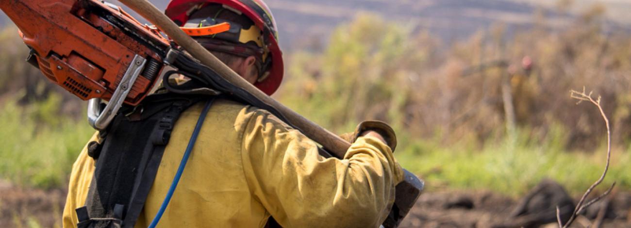 A firefighter walks away towards burnt vegetation carrying large tools slung over their shoulder.