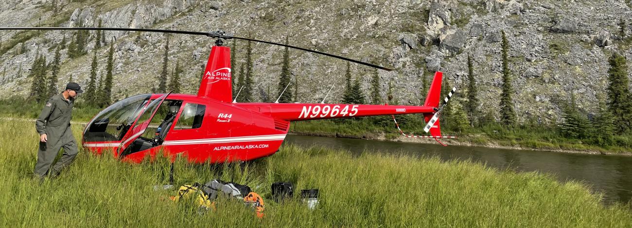 Helicopter landed in high grass near stream.