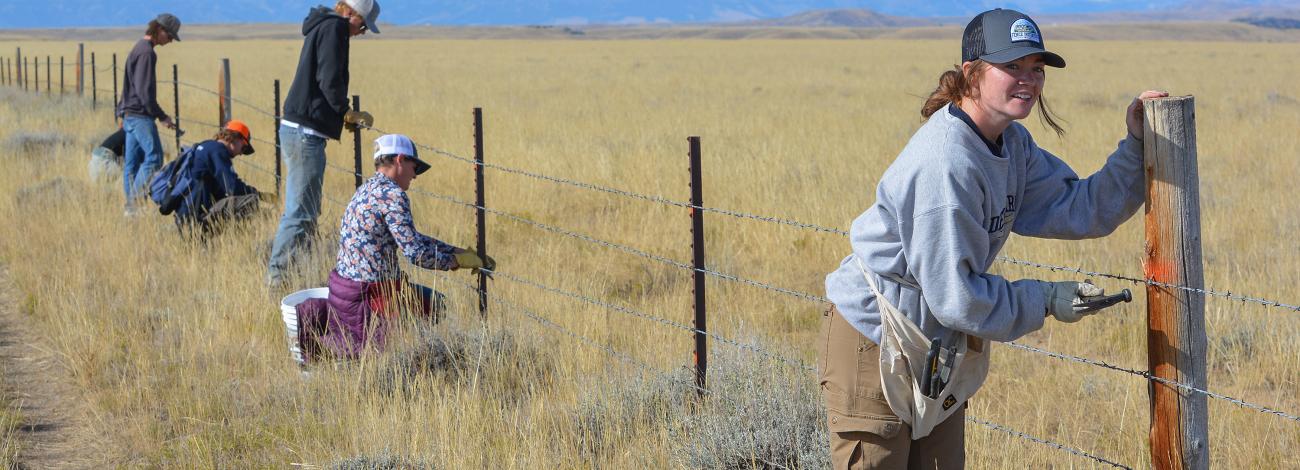 Several people stand or crouch along a fence line, using tools to cut wires.