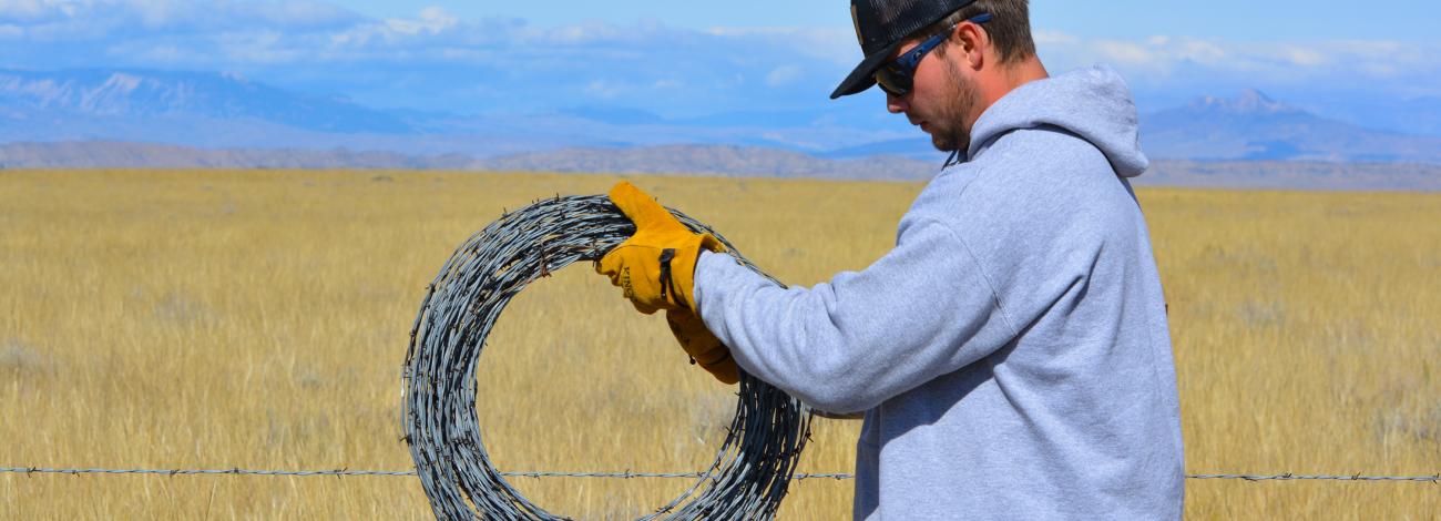 A man wearing leather gloves rolls up a strand of barbed wire as he walks along a fence line in a scenic area with mountains in the distance.