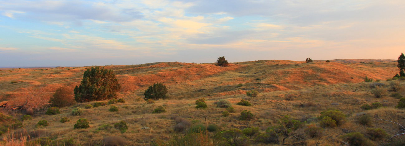 Sunrise on the Juniper Dunes Wilderness Area