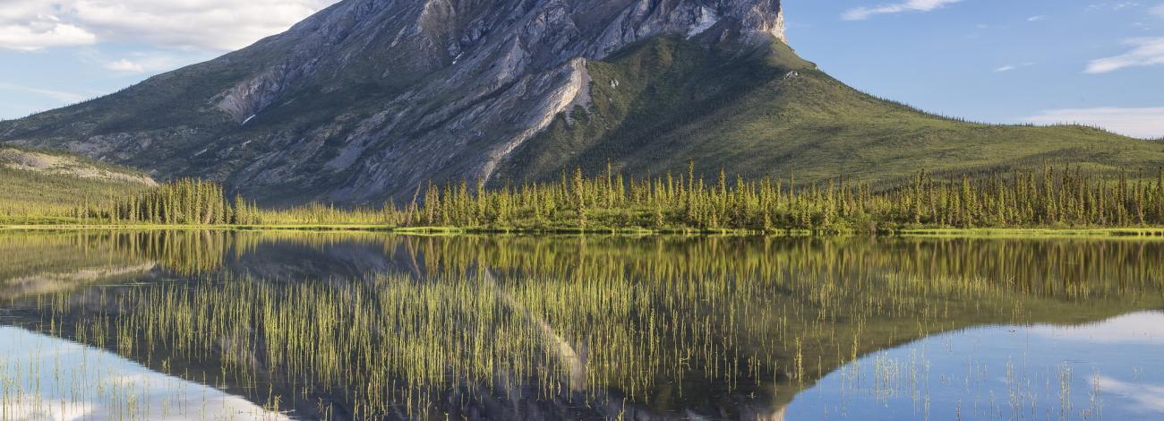 The jagged ridge of Sukakpak Mountain is reflected in the still water of a lake. 