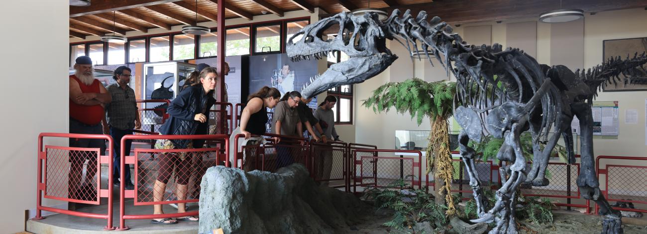 A group of people standing behind a red railing overlooking a dinosaur skeleton in a museum.