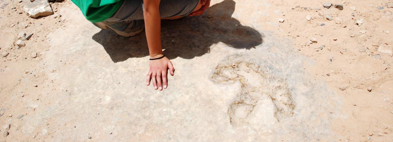 A girl wearing a green shirt with a white daisy in her hair looks at a fossilized footprint on the ground.