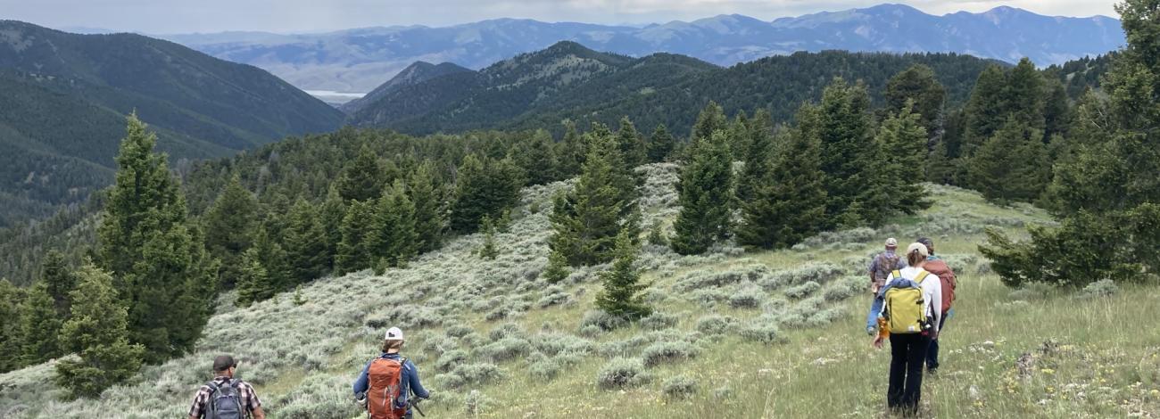 a group of scientists hike a mountain