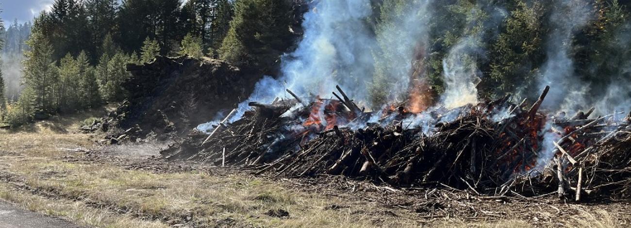  A prescribed fire pile burn on the Roseburg District