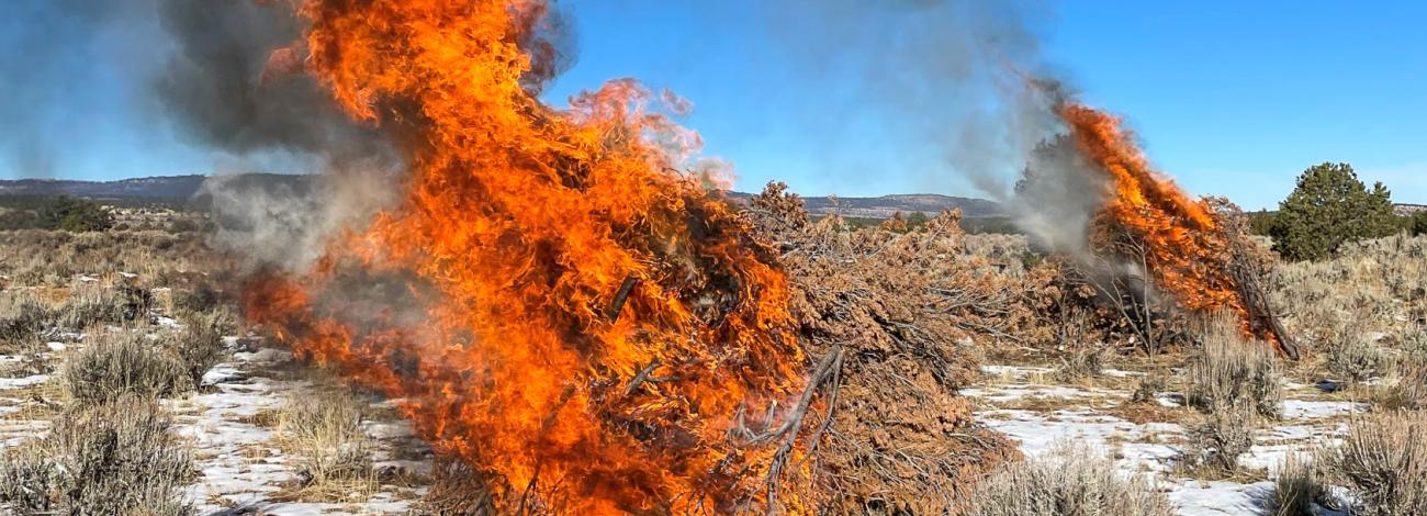 Firefighters with the Upper Colorado River Interagency Fire Management Unit monitor the scheduled burning of slash piles. (BLM photo)