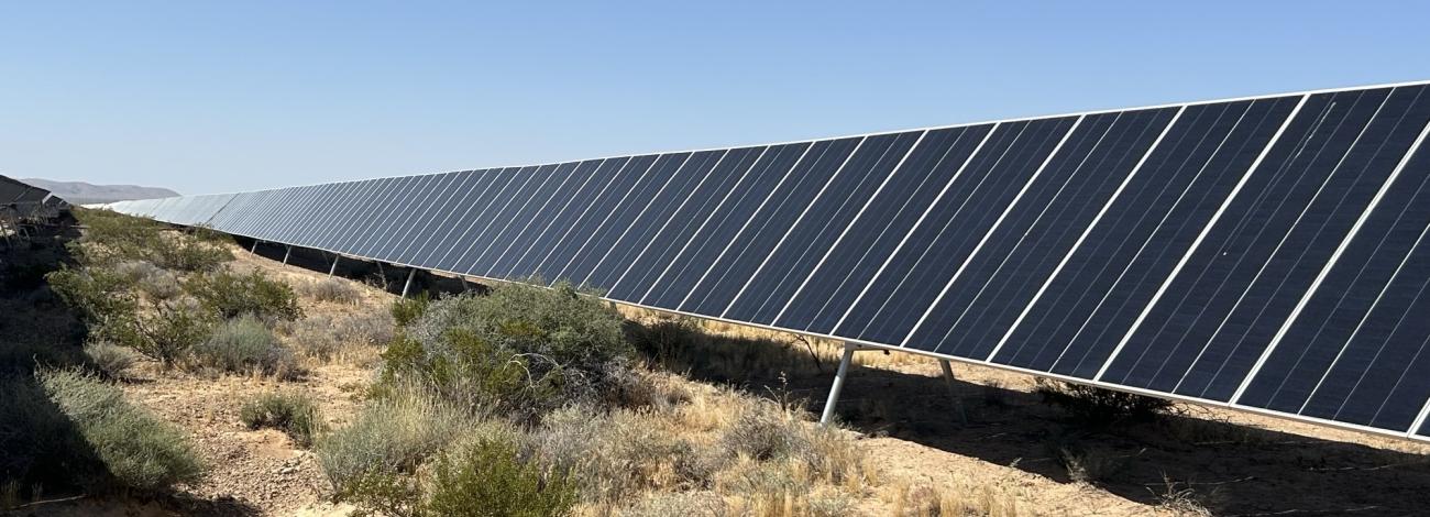 A solar array on flat land with scattered vegetation. 