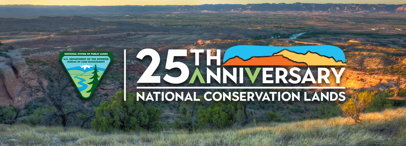 BLM emblem and 25th Anniversary of National Conservation Lands wordmark on top of photo of McInnis Canyon National Conservation Area in Colorado
