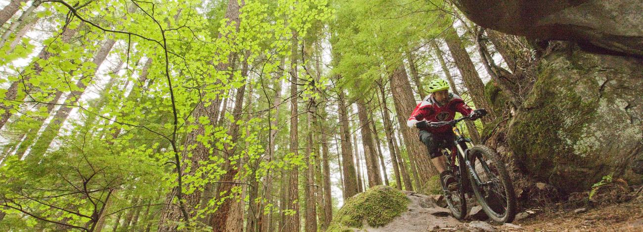 cyclist on the Sandy Ridge Mountain Bike Trail